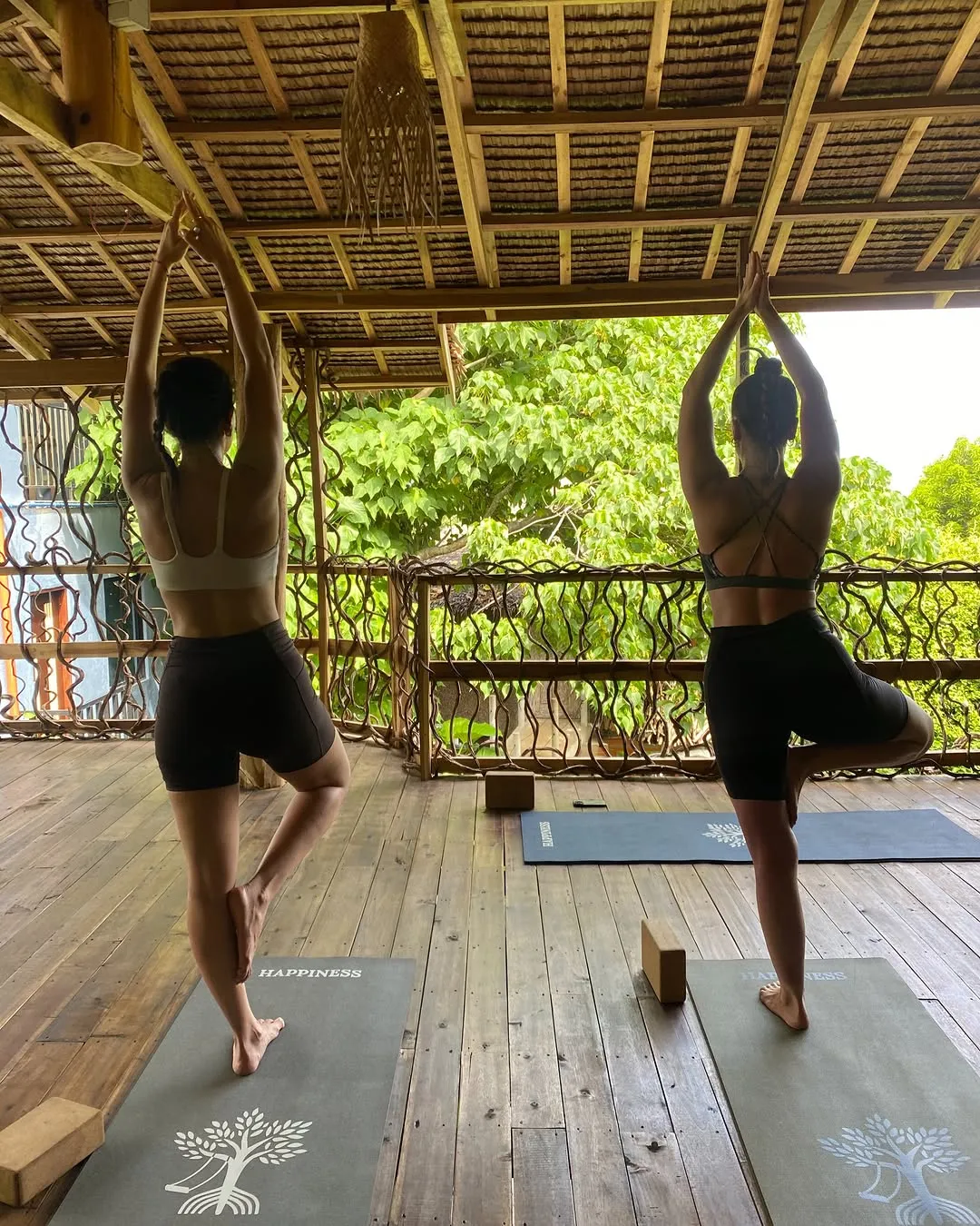 Two practitioners in tree pose on a wooden deck under a thatched roof, seen from behind