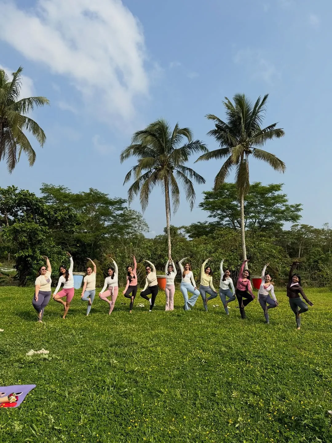 Outdoor group yoga session on a lawn with coconut palms