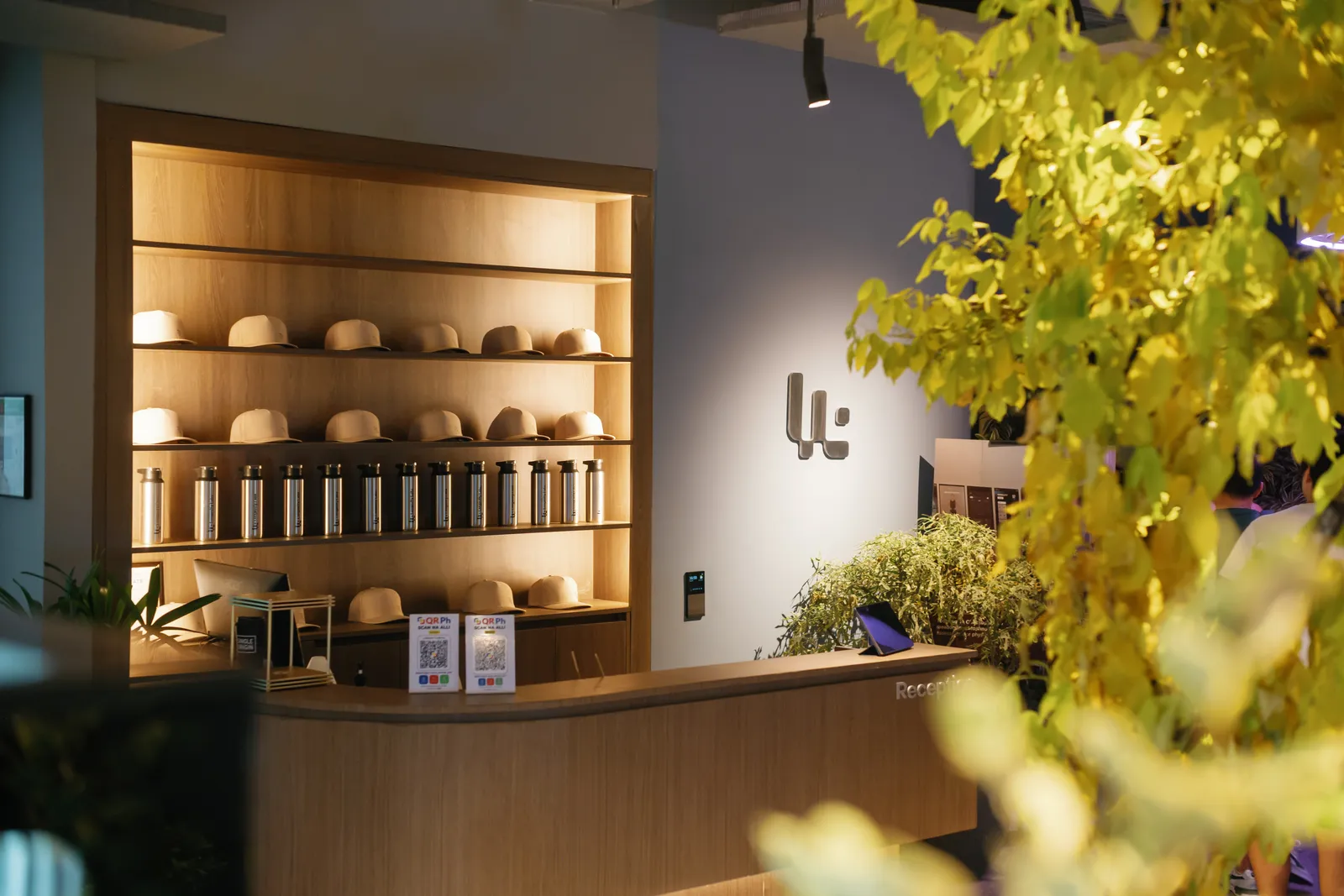 Reception with wooden shelves of products behind a counter and leafy plants