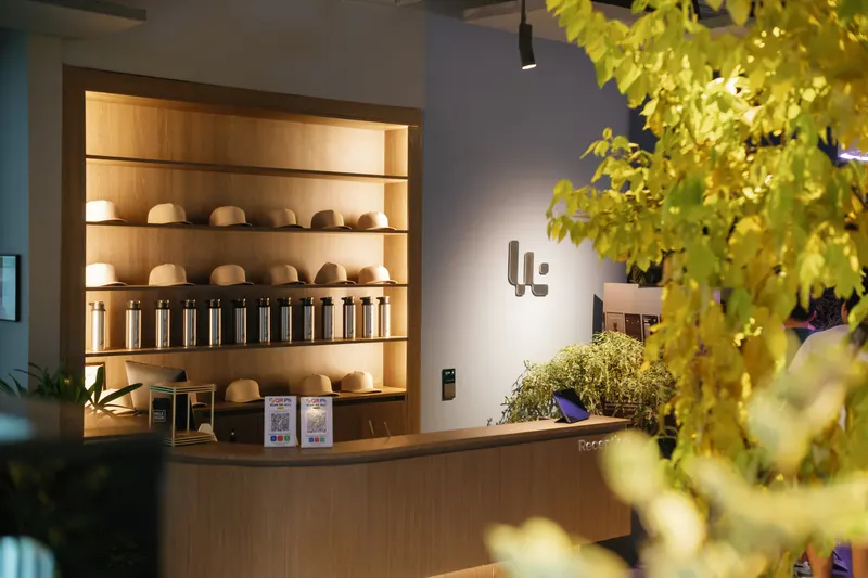 Reception with wooden shelves of products behind a counter and leafy plants