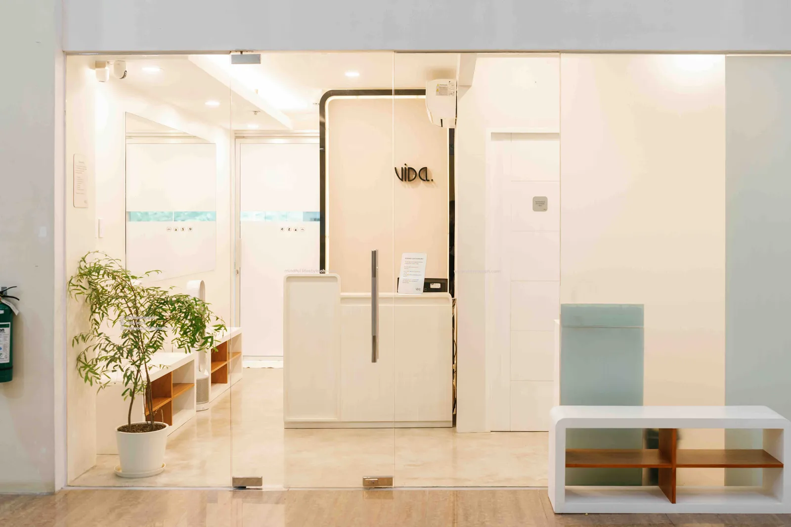 Bright studio reception with a glass door, potted plant and white walls