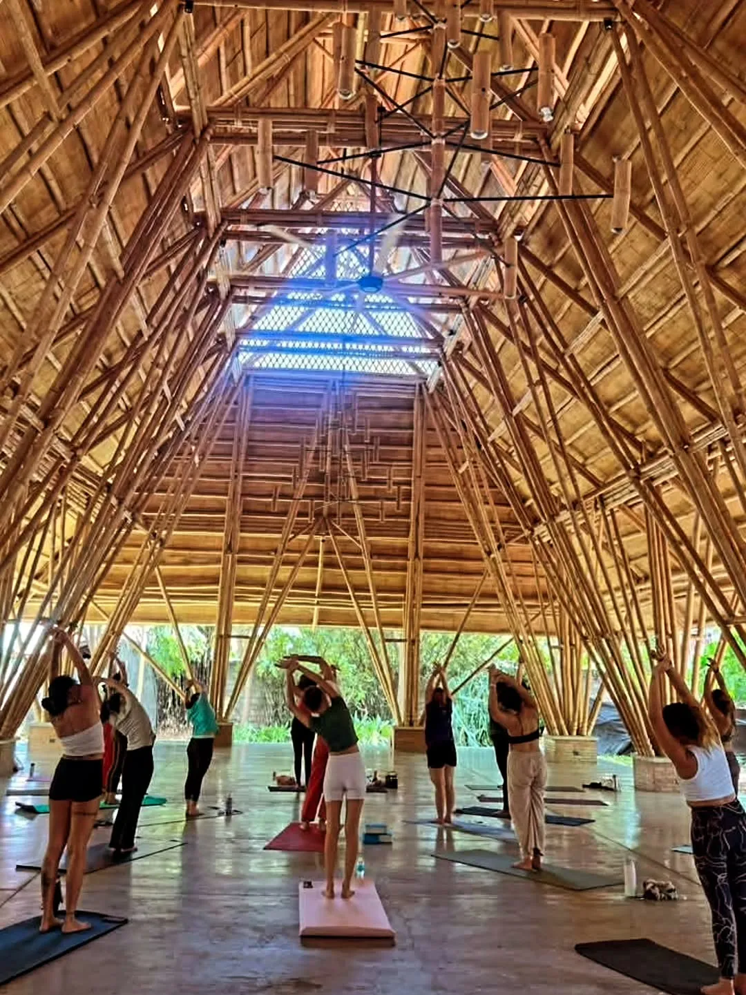 Standing class with arms raised under the bamboo pavilion